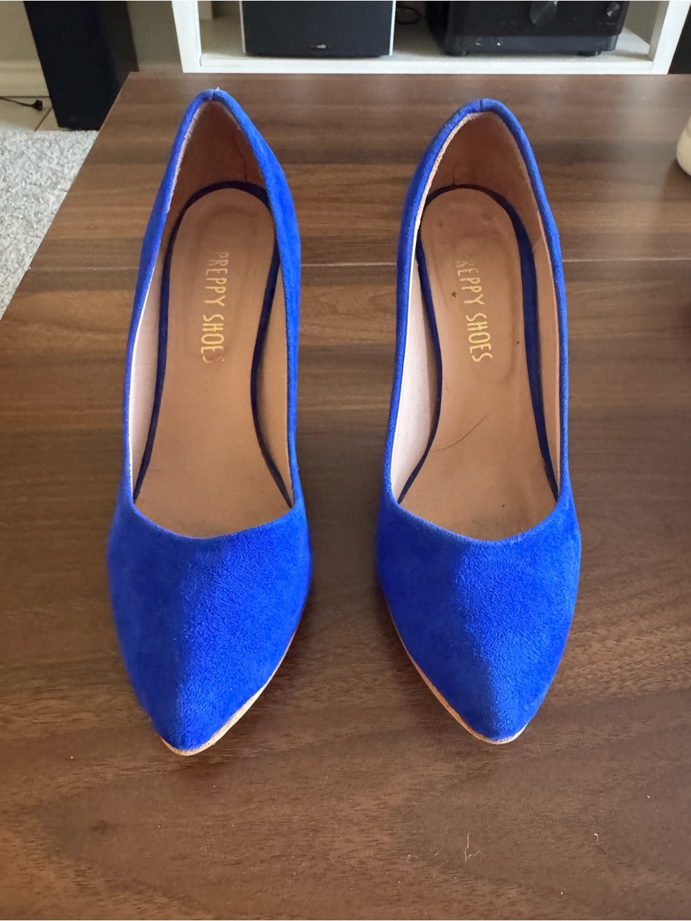 Women's Pointed Toe Flats in Cobalt Blue